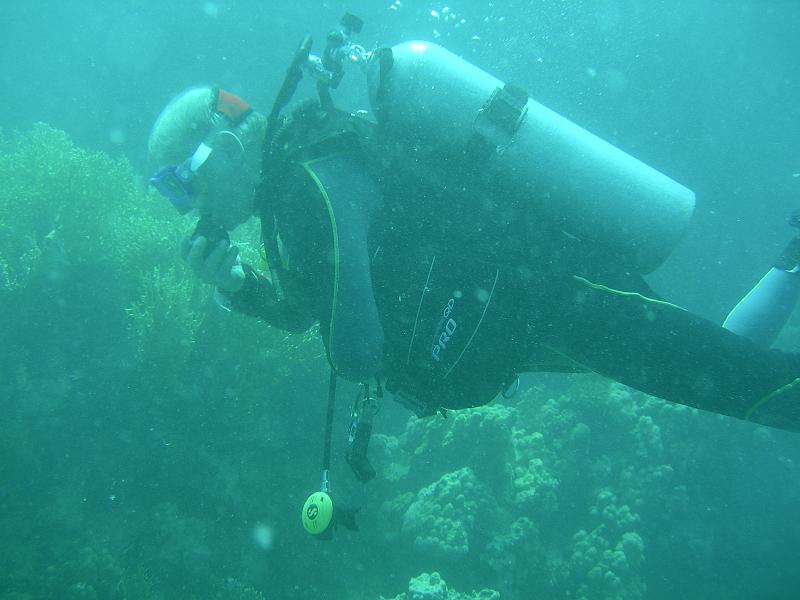 MANGROVE 07  2008 031.jpg